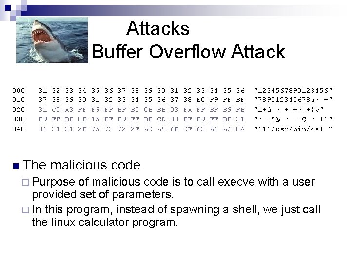 Attacks Buffer Overflow Attack 000 010 020 030 040 n 31 37 31 F