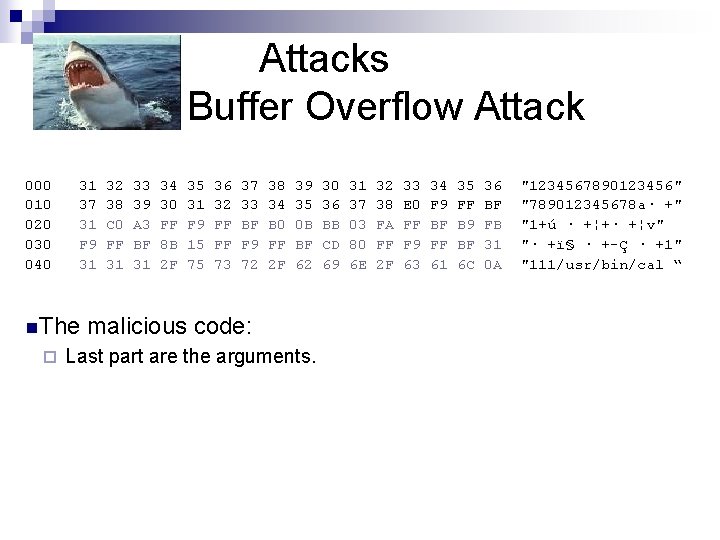 Attacks Buffer Overflow Attack 000 010 020 030 040 31 37 31 F 9