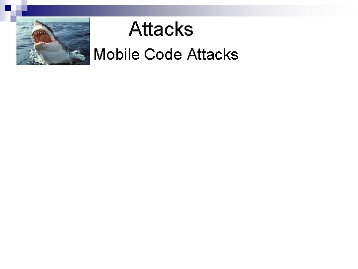 Attacks Mobile Code Attacks 