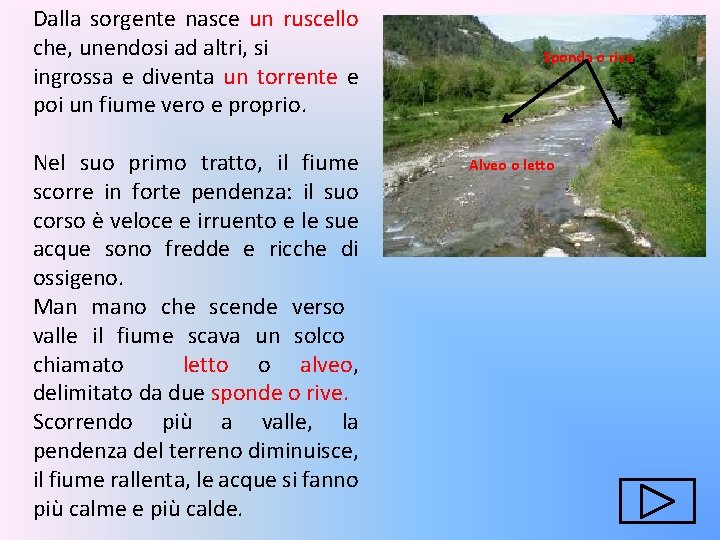 Dalla sorgente nasce un ruscello che, unendosi ad altri, si ingrossa e diventa un