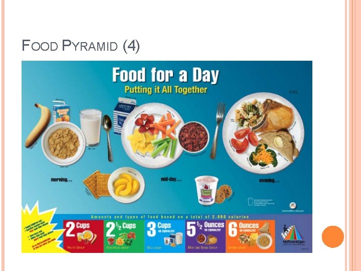 FOOD PYRAMID (4) 