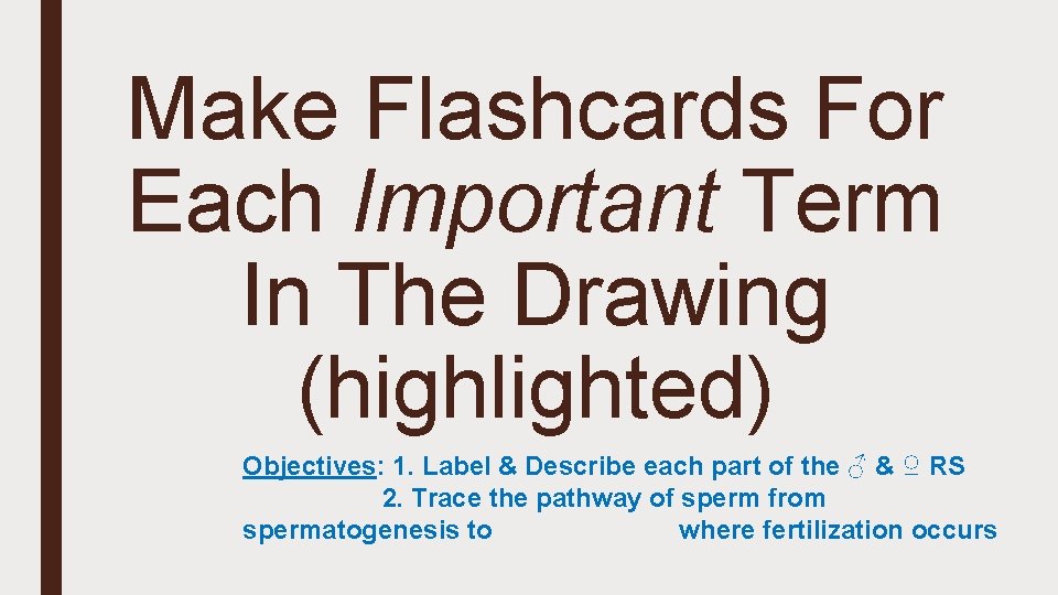 Make Flashcards For Each Important Term In The Drawing (highlighted) Objectives: 1. Label &