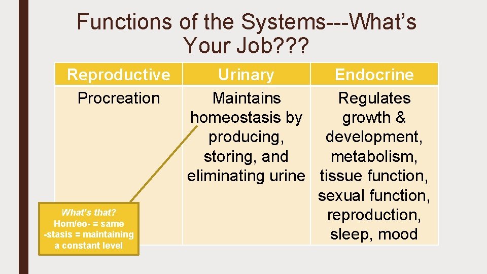 Functions of the Systems---What’s Your Job? ? ? Reproductive Procreation What’s that? Hom/eo- =