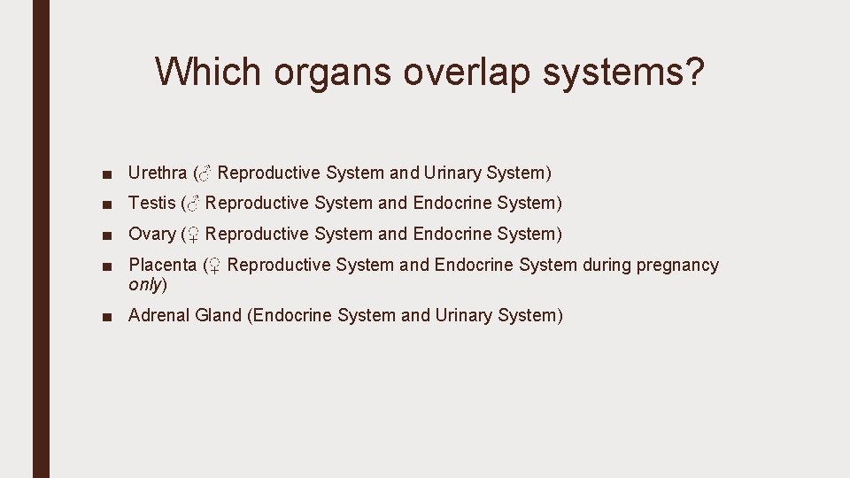 Which organs overlap systems? ■ Urethra (♂ Reproductive System and Urinary System) ■ Testis