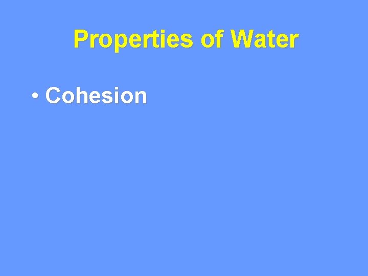 Properties of Water • Cohesion 