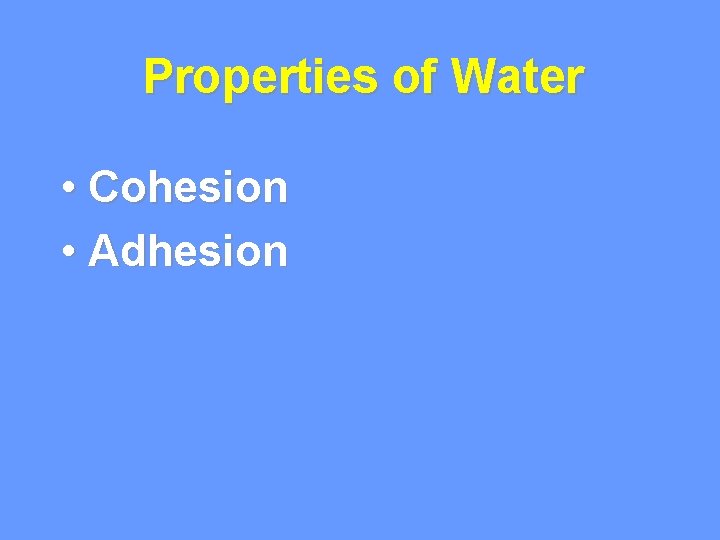 Properties of Water • Cohesion • Adhesion 