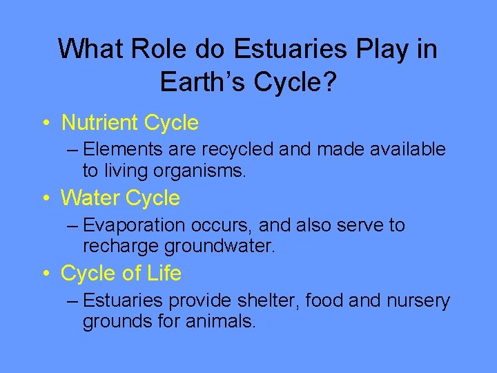 What Role do Estuaries Play in Earth’s Cycle? • Nutrient Cycle – Elements are