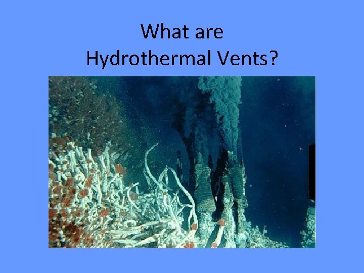 What are Hydrothermal Vents? 
