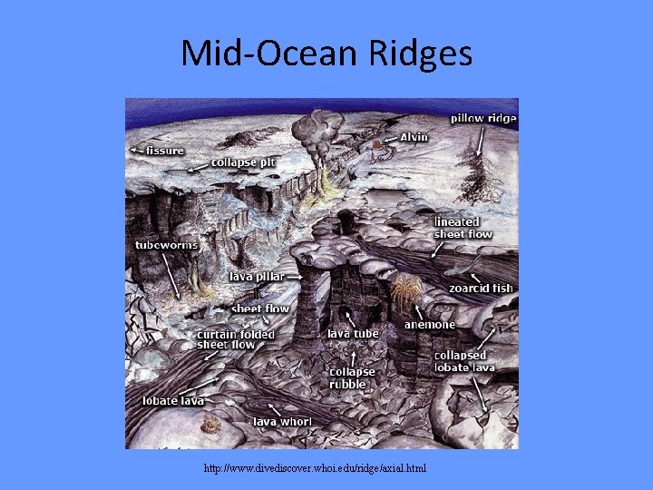 Mid-Ocean Ridges http: //www. divediscover. whoi. edu/ridge/axial. html 
