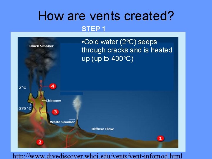 How are vents created? STEP 1 • Cold water (2 o. C) seeps through