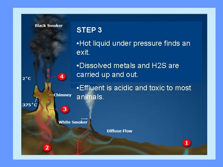 STEP 3 • Hot liquid under pressure finds an exit. • Dissolved metals and