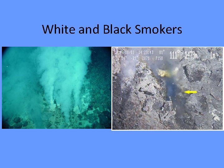 White and Black Smokers 