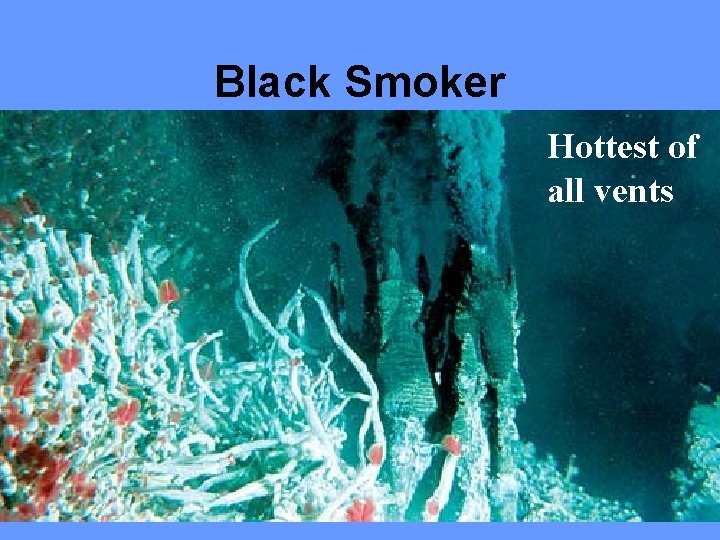 Black Smoker Hottest of all vents 
