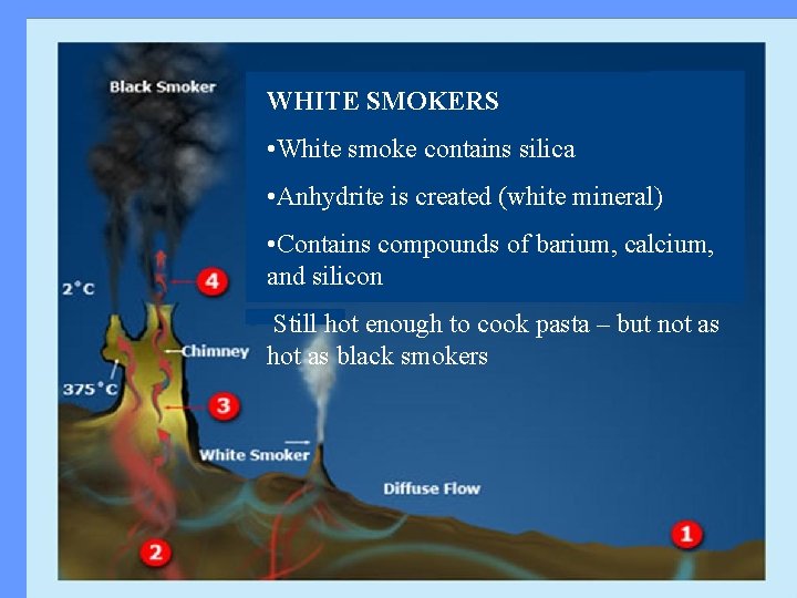 WHITE SMOKERS • White smoke contains silica • Anhydrite is created (white mineral) •