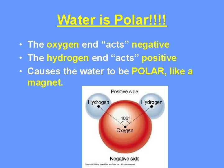 Water is Polar!!!! • The oxygen end “acts” negative • The hydrogen end “acts”