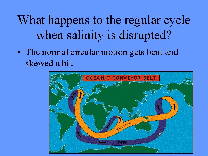What happens to the regular cycle when salinity is disrupted? • The normal circular