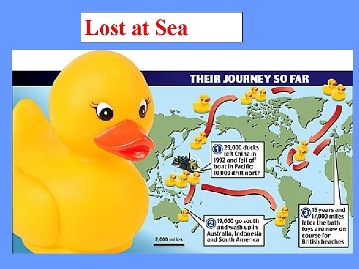 Lost at Sea 
