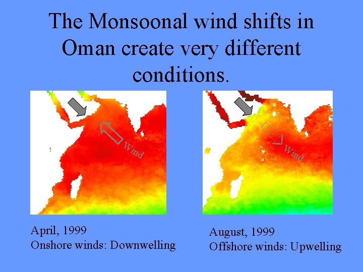 The Monsoonal wind shifts in Oman create very different conditions. Wi nd April, 1999