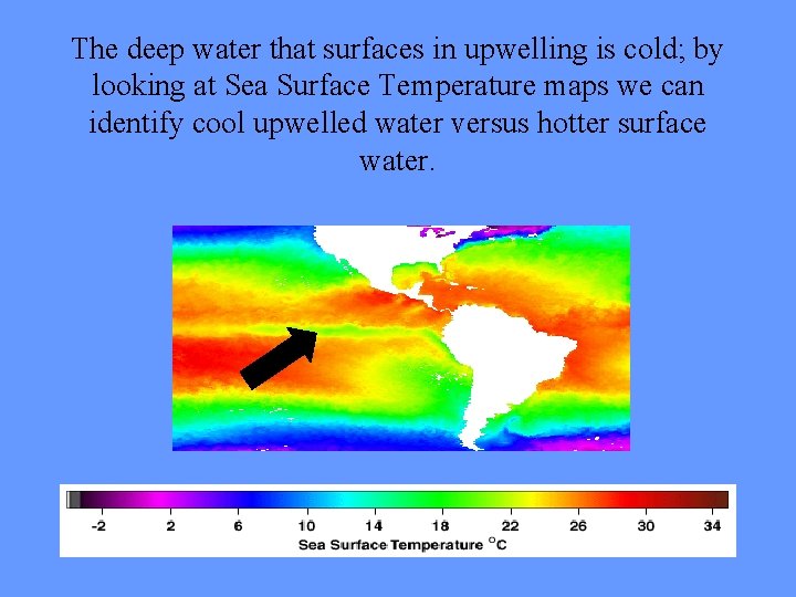 The deep water that surfaces in upwelling is cold; by looking at Sea Surface