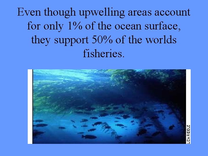 Even though upwelling areas account for only 1% of the ocean surface, they support