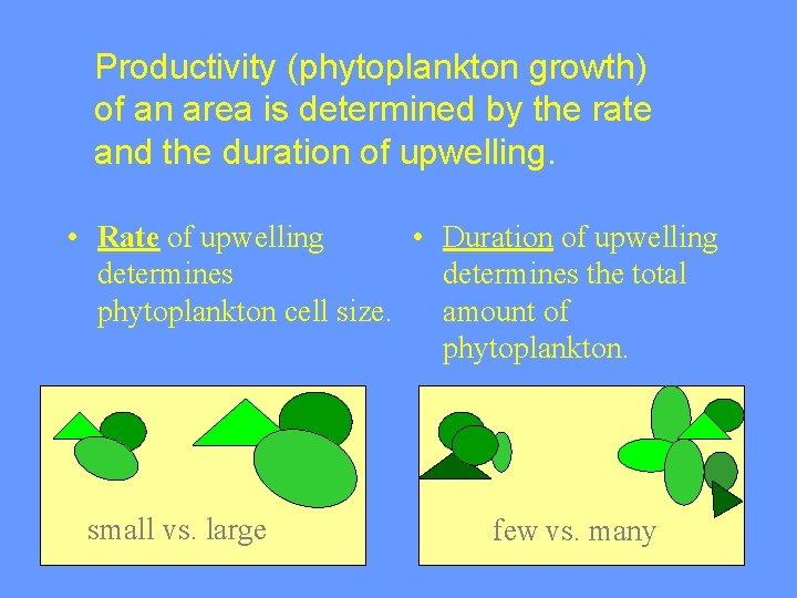 Productivity (phytoplankton growth) of an area is determined by the rate and the duration