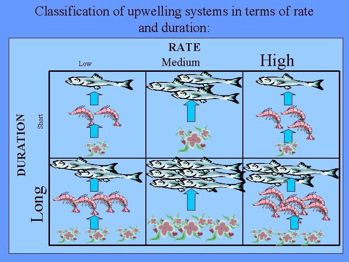 Classification of upwelling systems in terms of rate and duration: Short High Long DURATION