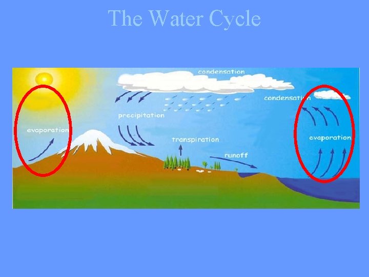 The Water Cycle 