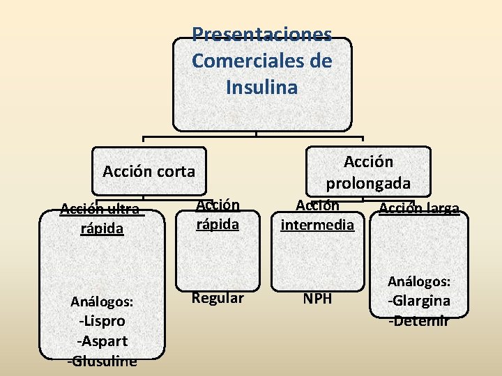Presentaciones Comerciales de Insulina Acción corta Acción ultrarápida Análogos: -Lispro -Aspart -Glusuline Acción rápida