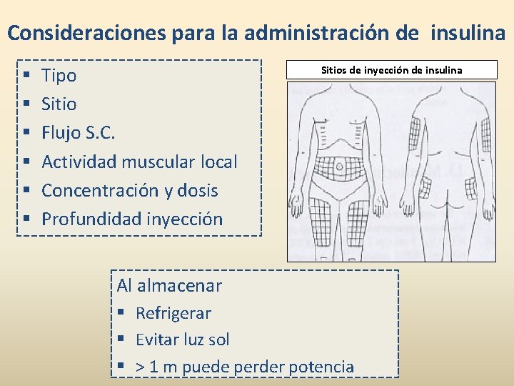 Consideraciones para la administración de insulina § § § Tipo Sitio Flujo S. C.