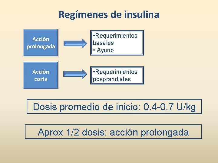 Regímenes de insulina Acción prolongada • Requerimientos basales • Ayuno Acción corta • Requerimientos