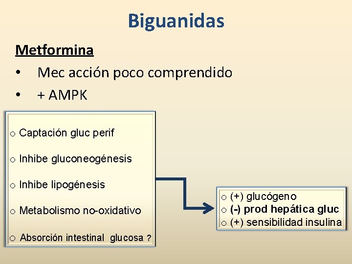 Biguanidas Metformina • Mec acción poco comprendido • + AMPK o Captación gluc perif