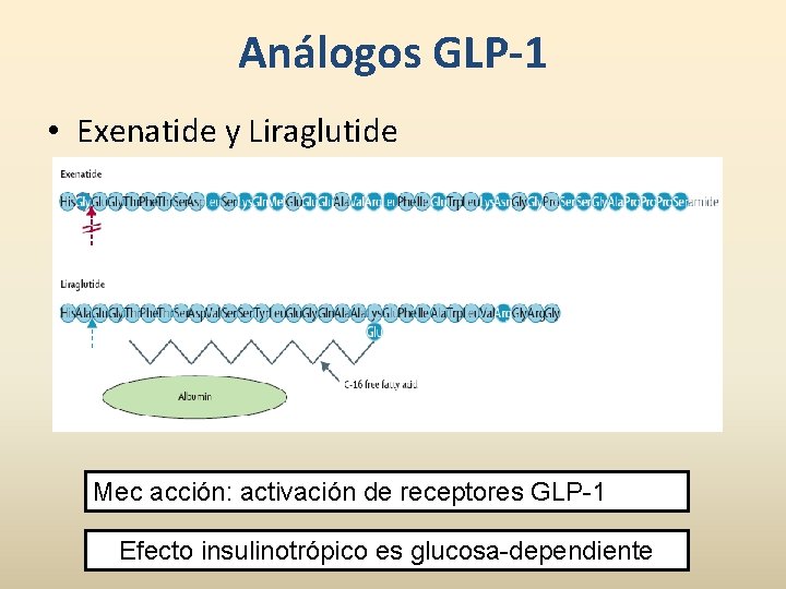 Análogos GLP-1 • Exenatide y Liraglutide Mec acción: activación de receptores GLP-1 Efecto insulinotrópico