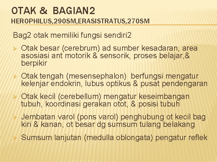 OTAK & BAGIAN 2 HEROPHILUS, 290 SM, ERASISTRATUS, 270 SM Bag 2 otak memiliki