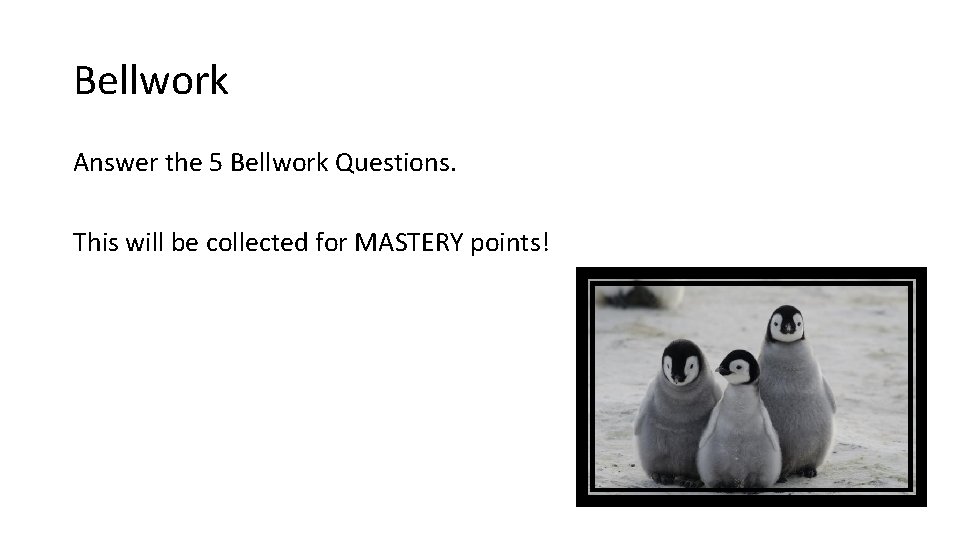 Bellwork Answer the 5 Bellwork Questions. This will be collected for MASTERY points! 