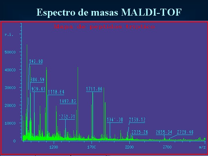 Espectro de masas MALDI-TOF 