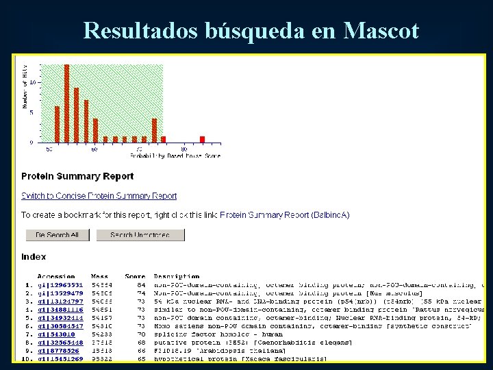 Resultados búsqueda en Mascot 