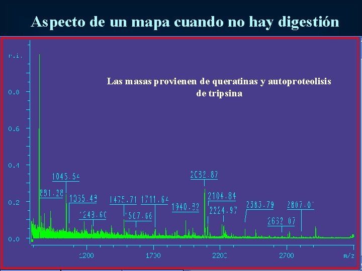 Aspecto de un mapa cuando no hay digestión Las masas provienen de queratinas y