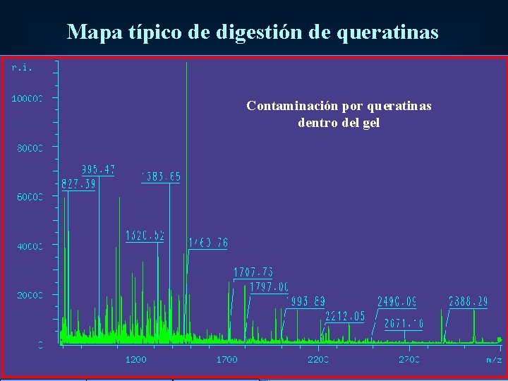 Mapa típico de digestión de queratinas Contaminación por queratinas dentro del gel 