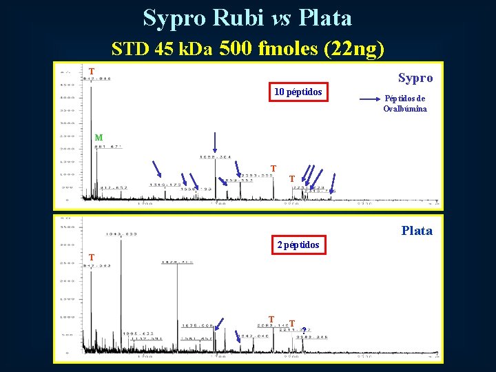 Sypro Rubi vs Plata STD 45 k. Da 500 fmoles (22 ng) T Sypro