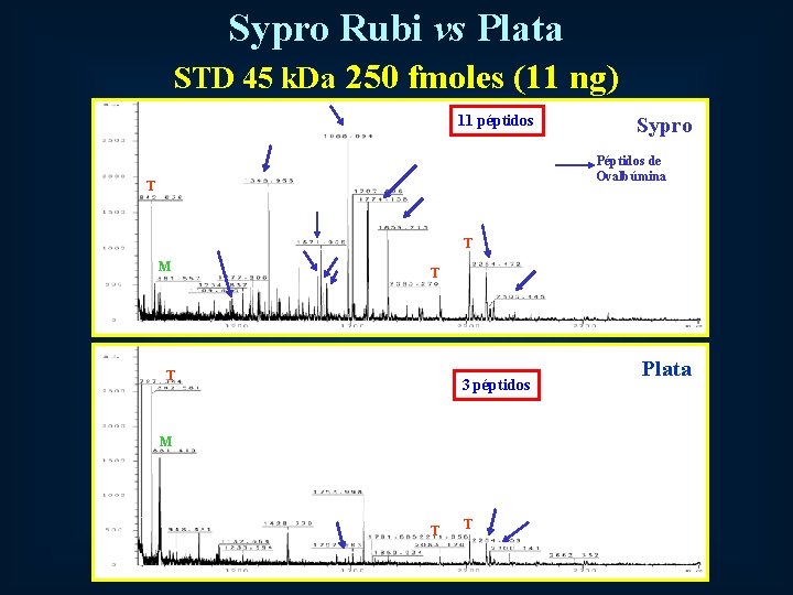 Sypro Rubi vs Plata STD 45 k. Da 250 fmoles (11 ng) 11 péptidos