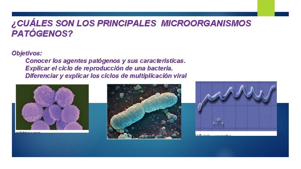 ¿CUÁLES SON LOS PRINCIPALES MICROORGANISMOS PATÓGENOS? Objetivos: Conocer los agentes patógenos y sus características.