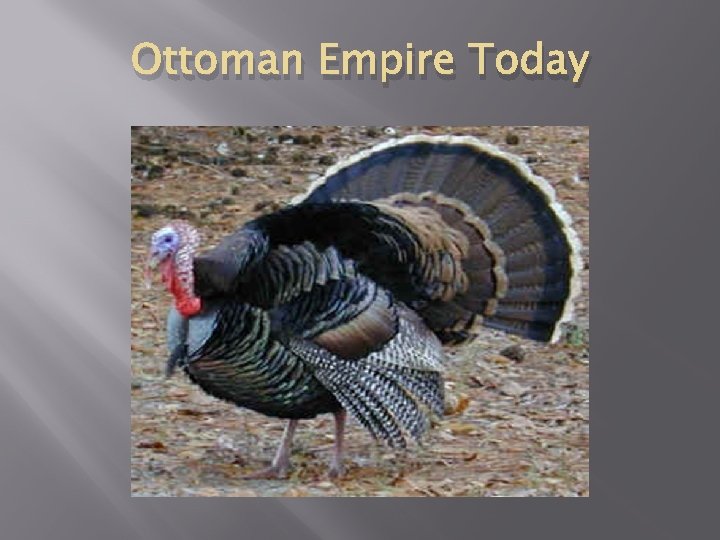 Ottoman Empire Today 