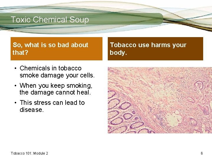 Toxic Chemical Soup So, what is so bad about that? Tobacco use harms your