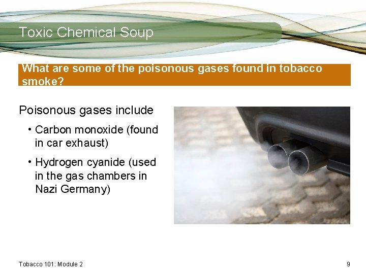 Toxic Chemical Soup What are some of the poisonous gases found in tobacco smoke?