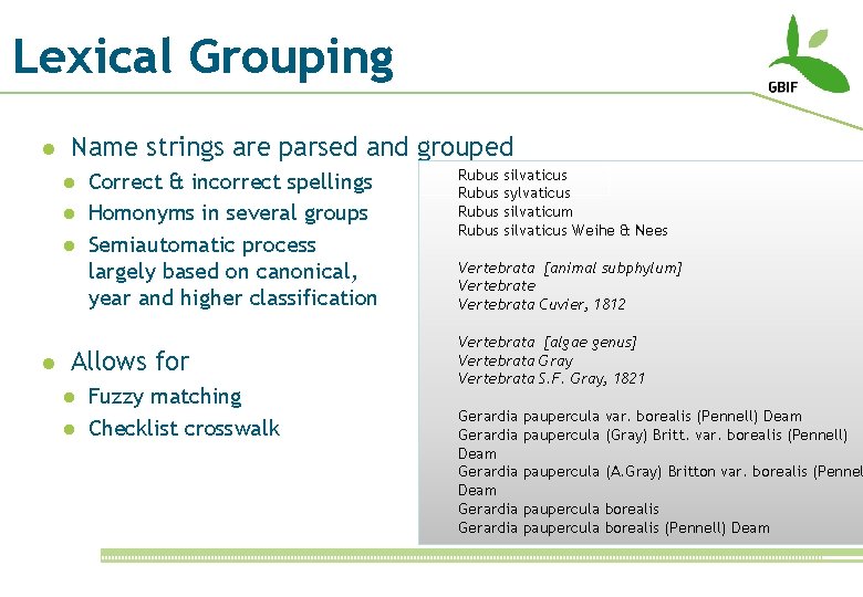 Lexical Grouping l Name strings are parsed and grouped l l Correct & incorrect