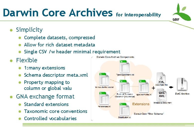 Darwin Core Archives l Simplicity l l Complete datasets, compressed Allow for rich dataset