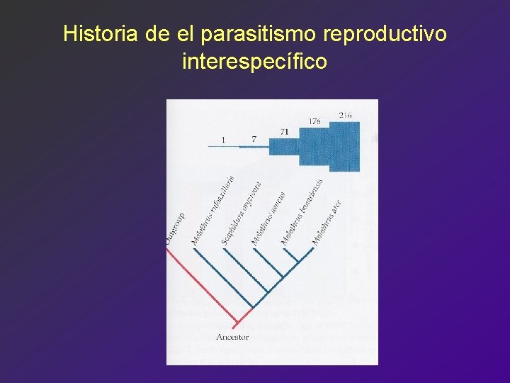 Historia de el parasitismo reproductivo interespecífico 