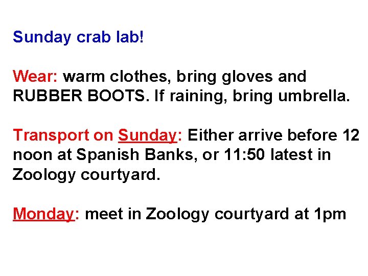 Sunday crab lab! Wear: warm clothes, bring gloves and RUBBER BOOTS. If raining, bring