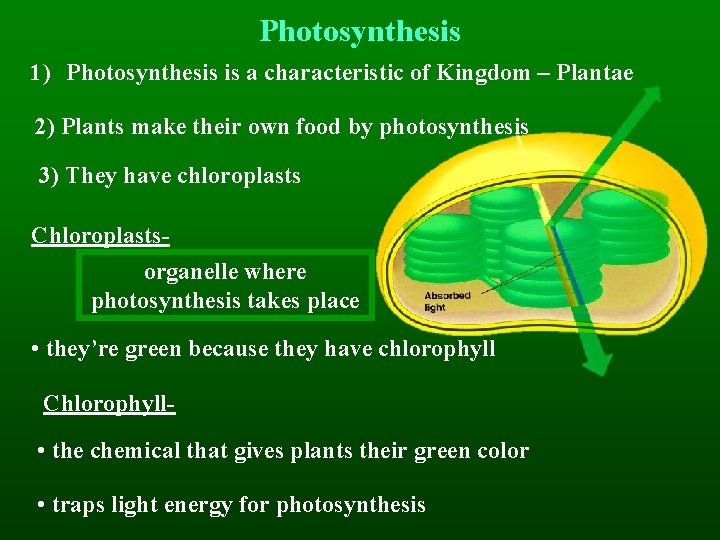 Photosynthesis 1) Photosynthesis is a characteristic of Kingdom – Plantae 2) Plants make their